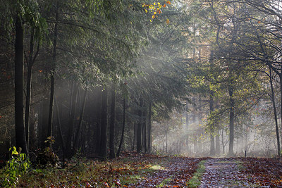 BUITEN BEELD Foto: 216404