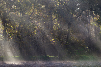 BUITEN BEELD Foto: 216405