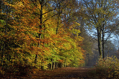 BUITEN BEELD Foto: 216514