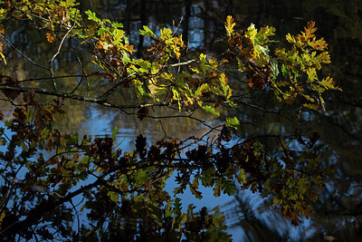 BUITEN BEELD Foto: 216517