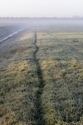 BUITEN BEELD Foto: 216518