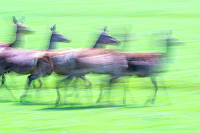 BUITEN BEELD Foto: 216578