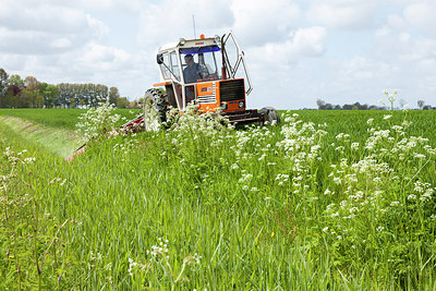 BUITEN BEELD Foto: 216627