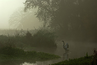 BUITEN BEELD Foto: 216639
