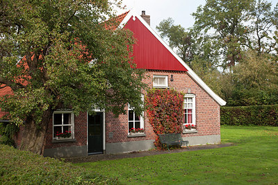 BUITEN BEELD Foto: 216693