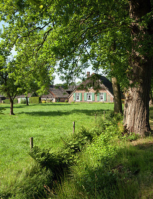 BUITEN BEELD Foto: 216703