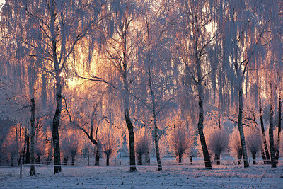 BUITEN BEELD Foto: 216708