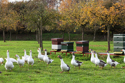 BUITEN BEELD Foto: 216740