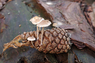 BUITEN BEELD Foto: 216757