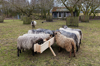 BUITEN BEELD Foto: 216770