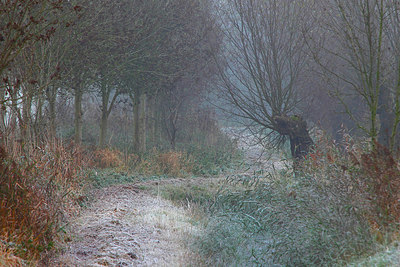BUITEN BEELD Foto: 216836