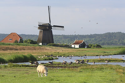 BUITEN BEELD Foto: 216859