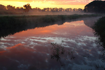 BUITEN BEELD Foto: 216861