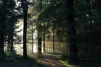BUITEN BEELD Foto: 216866