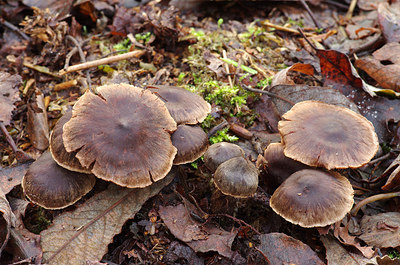 BUITEN BEELD Foto: 216901