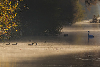 BUITEN BEELD Foto: 216905