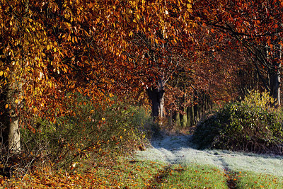 BUITEN BEELD Foto: 216907