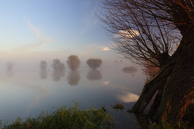 BUITEN BEELD Foto: 216913