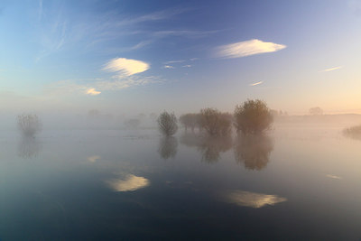 BUITEN BEELD Foto: 216914