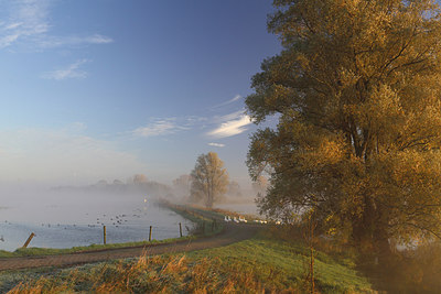 BUITEN BEELD Foto: 216916