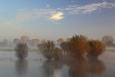 BUITEN BEELD Foto: 216918