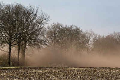 BUITEN BEELD Foto: 216931