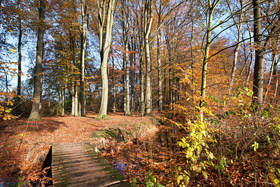 BUITEN BEELD Foto: 217025