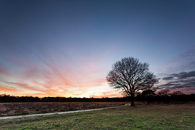 BUITEN BEELD Foto: 217040