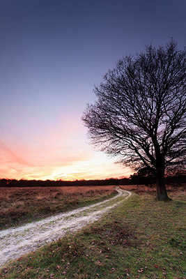 BUITEN BEELD Foto: 217044