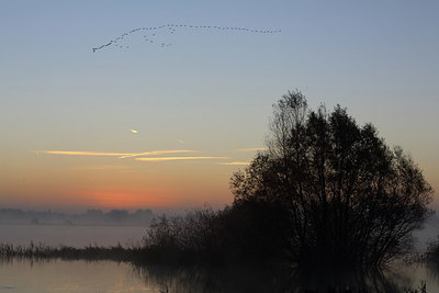 BUITEN BEELD Foto: 217160