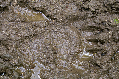 BUITEN BEELD Foto: 217261