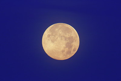 BUITEN BEELD Foto: 217263