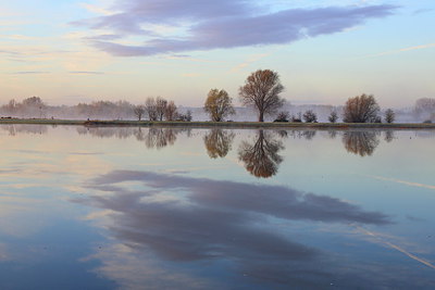 BUITEN BEELD Foto: 217264