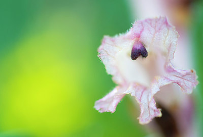 BUITEN BEELD Foto: 217302