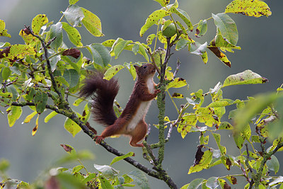 BUITEN BEELD Foto: 217440