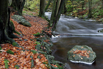 BUITEN BEELD Foto: 217443