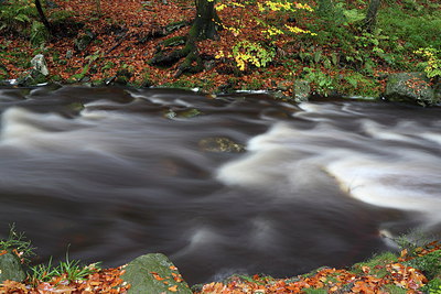 BUITEN BEELD Foto: 217445