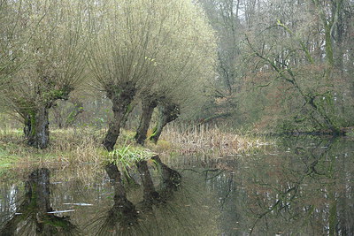 BUITEN BEELD Foto: 217481