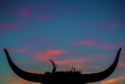BUITEN BEELD Foto: 217501