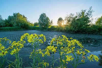 BUITEN BEELD Foto: 217503