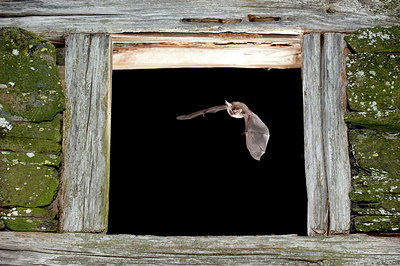 BUITEN BEELD Foto: 217547