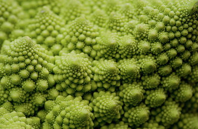 BUITEN BEELD Foto: 217736