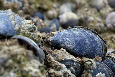 BUITEN BEELD Foto: 217763