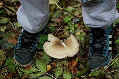 BUITEN BEELD Foto: 217764