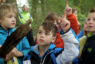 BUITEN BEELD Foto: 217785