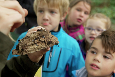 BUITEN BEELD Foto: 217787