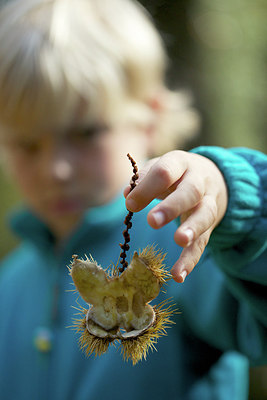 BUITEN BEELD Foto: 217789