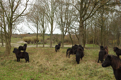 BUITEN BEELD Foto: 217836