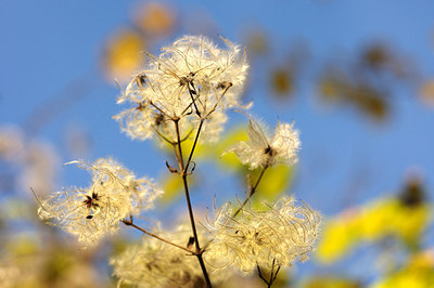 BUITEN BEELD Foto: 217853