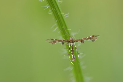 BUITEN BEELD Foto: 217937